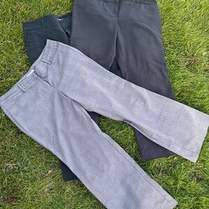 New York & Company Women Dress pants BUNDLE
